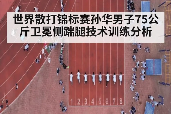 世界散打锦标赛孙华男子75公斤卫冕侧踹腿技术训练分析