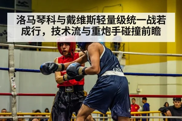 洛马琴科与戴维斯轻量级统一战若成行，技术流与重炮手碰撞前瞻 | KAIYUN SPORTS