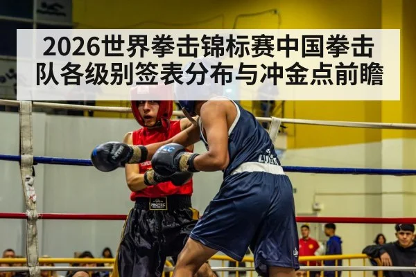 2026世界拳击锦标赛中国拳击队各级别签表分布与冲金点前瞻
