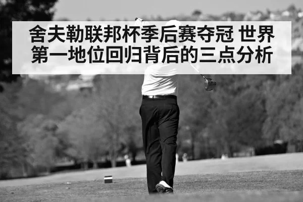 舍夫勒联邦杯季后赛夺冠 世界第一地位回归背后的三点分析