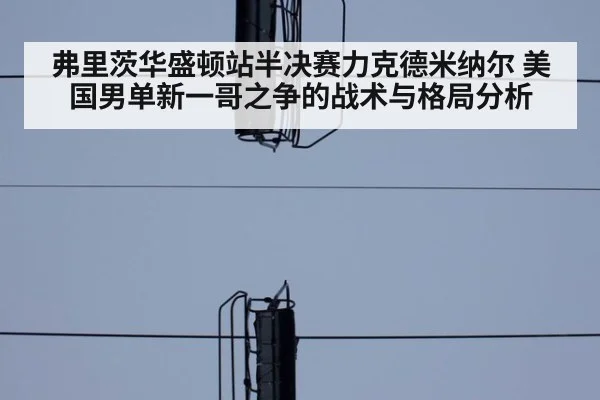 弗里茨华盛顿站半决赛力克德米纳尔 美国男单新一哥之争的战术与格局分析